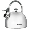 Чайник Ringel Grey line 2.5 л (RG-1010)