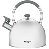 Чайник Ringel Grey line 2.5 л (RG-1010)